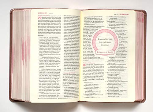NLT THRIVE Devotional Bible for Women (LeatherLike, Rose Metallic)